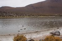 
DSC00269